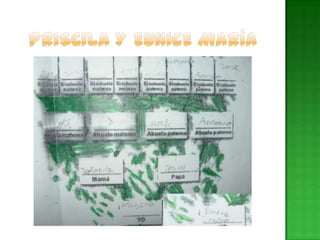 PRISCILA Y EUNICE MARÍA