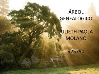 ÁRBOL
GENEALÓGICO
JULIETH PAOLA
MOLANO
925790
 