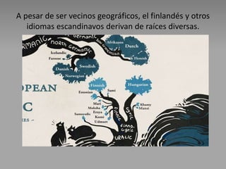 A pesar de ser vecinos geográficos, el finlandés y otros
idiomas escandinavos derivan de raíces diversas.
 