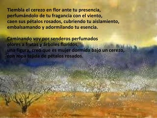 Tiembla el cerezo en flor ante tu presencia, perfumándolo de tu fragancia con el viento, caen sus pétalos rosados, cubriendo tu aislamiento, embalsamando y adormilando tu esencia. Caminando voy por senderos perfumados olores a frutas y árboles floridos, una figura, creo que es mujer dormida bajo un cerezo, con ropa tejida de pétalos rosados. 