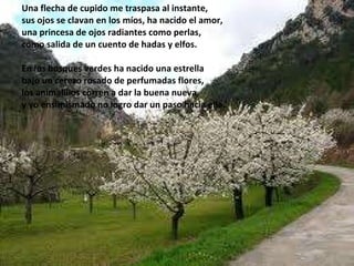 Una flecha de cupido me traspasa al instante, sus ojos se clavan en los míos, ha nacido el amor, una princesa de ojos radiantes como perlas, como salida de un cuento de hadas y elfos. En los bosques verdes ha nacido una estrella bajo un cerezo rosado de perfumadas flores, los animalillos corren a dar la buena nueva, y yo ensimismado no logro dar un paso hacia ella. 