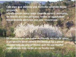 Con algo que parecía una melodía saliendo de su garganta, acudieron en masa toda clase de seres y animales, en efecto era una princesa, todos se agachaban mostrándole pleitesía con una reverencia. En cuanto a mí, un juglar recitando versos de amor, a un castillo en el centro del bosque fui a parar enamorado de una princesa que no era mortal casándonos más tarde en su feudo real. 