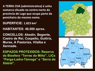 A TERRA CHA (administrativa) é unha
comarca situada no centro-norte da
provincia de Lugo que ocupa parte da
penichaira do mesmo nome.
SUPERFICIE: 1.823 km2
HABITANTES: 46.000 aprox.
CONCELLOS: Abadín, Begonte,
Castro de Rei, Cospeito, Guitiriz,
Muras, A Pastoriza, Vilalba e
Xermade.
ESPAZOS PROTEXIDOS: Reserva
da Biosfera “Terras do Miño”, LICs
“Parga-Ladra-Támoga” e “Serra do
Xistral”.
 