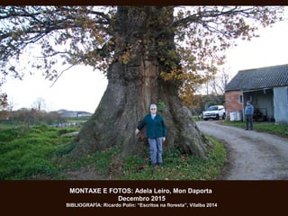 MONTAXE E FOTOS: Adela Leiro, Mon Daporta
Decembro 2015
BIBLIOGRAFÍA: Ricardo Polín: “Escritos na floresta”, Vilalba 2014
 