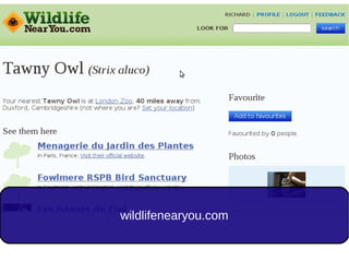 wildlifenearyou.com
 