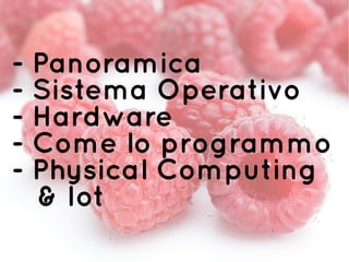 - Panoramica
- Sistema Operativo
- Hardware
- Come lo programmo
- Physical Computing
& Iot
 