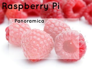 Raspberry Pi
1. Panoramica
 