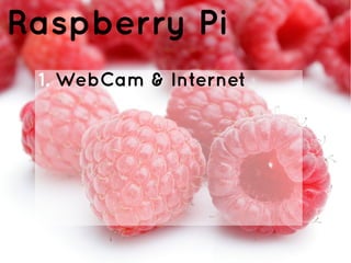 Raspberry Pi
1. WebCam & Internet
 