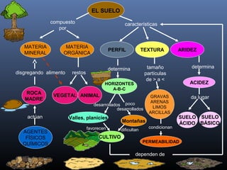 EL SUELO
compuesto
por
MATERIA
MINERAL
MATERIA
ORGÁNICA
disgregando
ROCA
MADRE
restos
VEGETAL ANIMAL
alimento
AGENTES
FÍSICOS
QUÍMICOS
actúan
características
PERFIL
determina
HORIZONTES
A-B-C
desarrollados
Valles, planicies
poco
desarrollados
Montañas
CULTIVOS
favorecen dificultan
TEXTURA ARIDEZ
tamaño
partículas
de > a <
GRAVAS
ARENAS
LIMOS
ARCILLAS
determina
condicionan
PERMEABILIDAD
ACIDEZ
da lugar
SUELO
ÁCIDO
SUELO
BÁSICO
dependen de
 