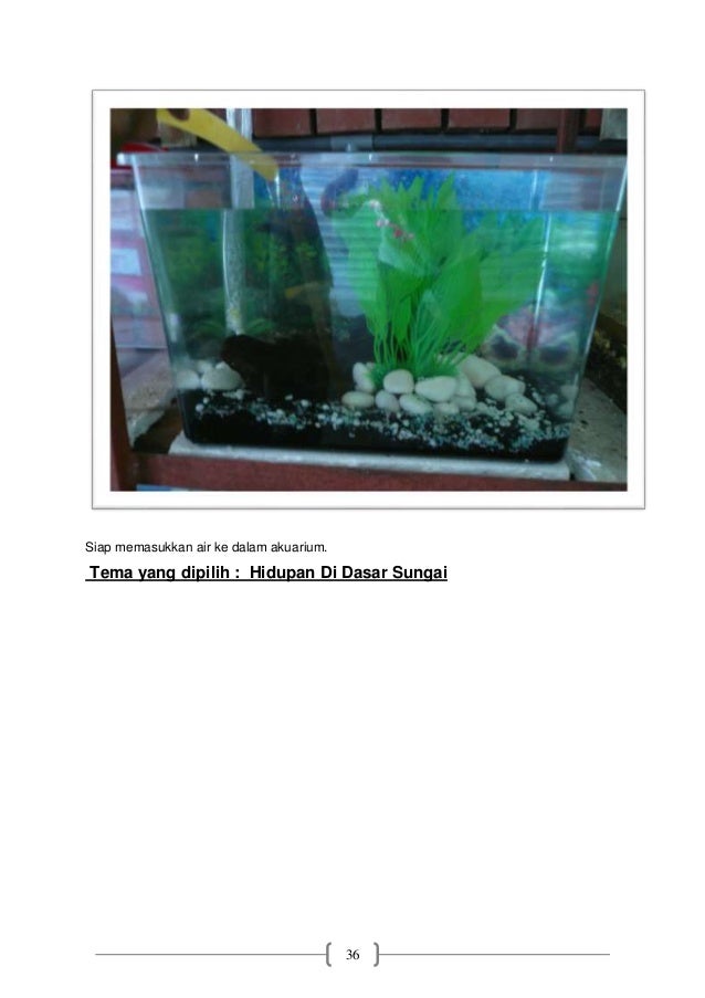 Rbt Ikan Hiasan 2014