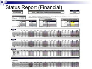 Status Report (Financial) 