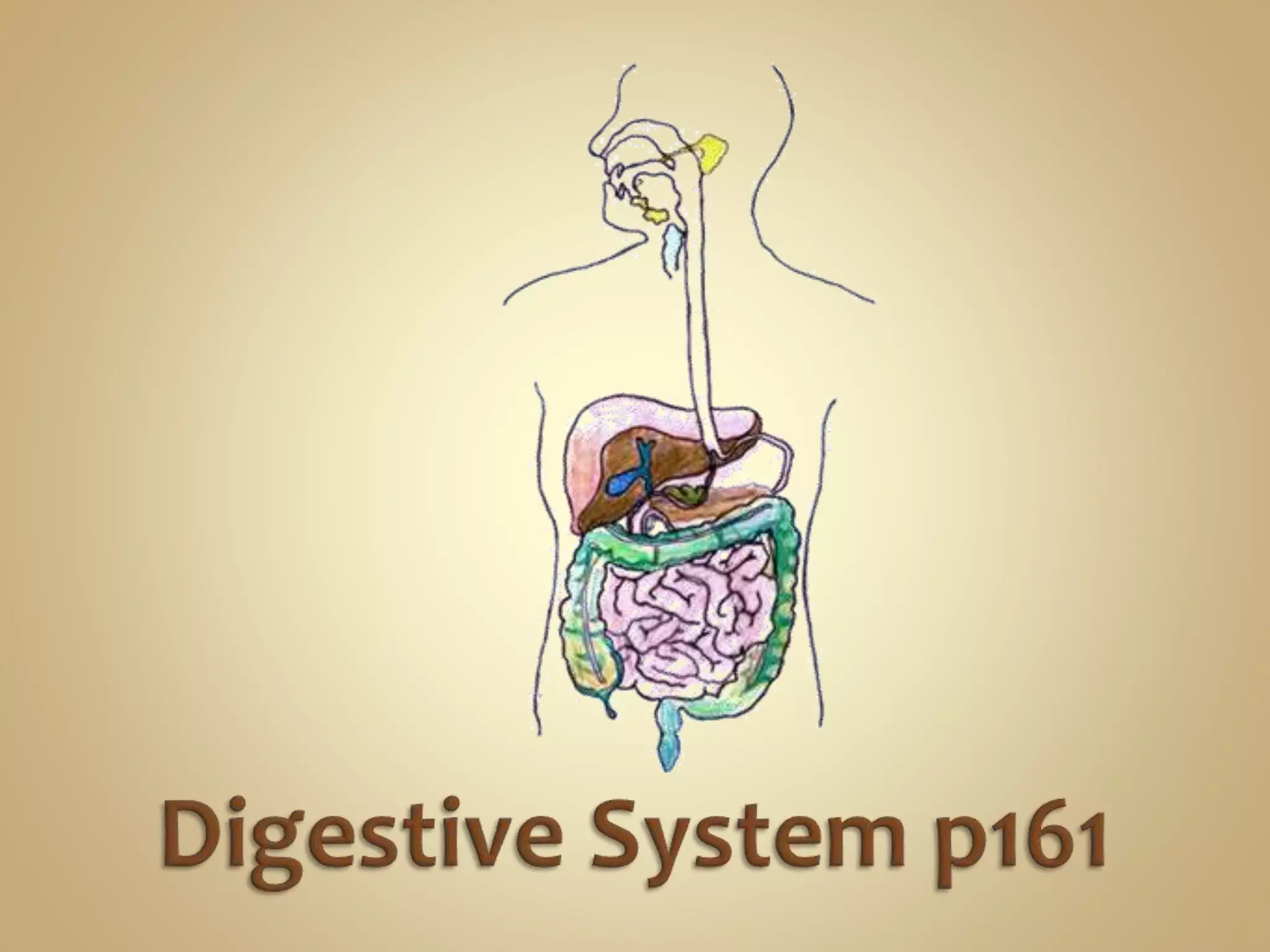 11 (number) visual data 7