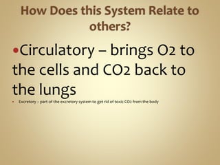 Circulatory – brings O2 to
the cells and CO2 back to
the lungs
 Excretory – part of the excretory system to get rid of toxic CO2 from the body
 