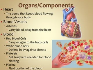  Heart
 The pump that keeps blood flowing
through your body
 Blood Vessels
 Arteries
 Carry blood away from the heart
 Blood
 Red Blood Cells
 Carry oxygen to the body cells
 White blood cells
 Defend body against disease
 Platelets
 Cell fragments needed for blood
clotting
 Plasma
 Fluid portion of the blood
 