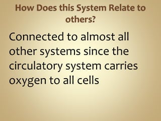 Connected to almost all
other systems since the
circulatory system carries
oxygen to all cells
 
