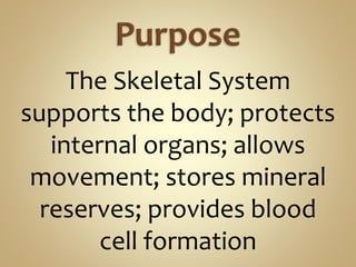 The Skeletal System
supports the body; protects
internal organs; allows
movement; stores mineral
reserves; provides blood
cell formation
 
