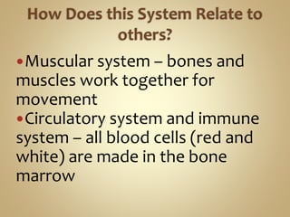 Muscular system – bones and
muscles work together for
movement
Circulatory system and immune
system – all blood cells (red and
white) are made in the bone
marrow
 