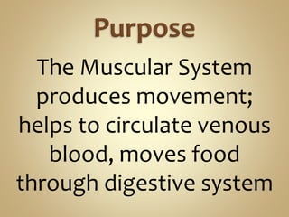 The Muscular System
produces movement;
helps to circulate venous
blood, moves food
through digestive system
 