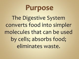 The Digestive System
converts food into simpler
molecules that can be used
by cells; absorbs food;
eliminates waste.
 