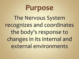 The Nervous System
recognizes and coordinates
the body's response to
changes in its internal and
external environments
 