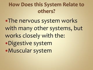 The nervous system works
with many other systems, but
works closely with the:
Digestive system
Muscular system
 
