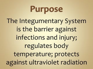 The Integumentary System
is the barrier against
infections and injury;
regulates body
temperature; protects
against ultraviolet radiation
 
