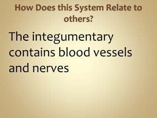 The integumentary
contains blood vessels
and nerves
 