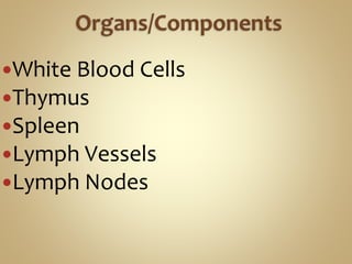 White Blood Cells
Thymus
Spleen
Lymph Vessels
Lymph Nodes
 