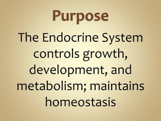 The Endocrine System
controls growth,
development, and
metabolism; maintains
homeostasis
 