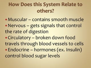 Muscular – contains smooth muscle
Nervous – gets signals that control
the rate of digestion
Circulatory – broken down food
travels through blood vessels to cells
Endocrine – hormones (ex. Insulin)
control blood sugar levels
 