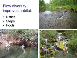   Delta barStream Corridor Restoration: Principles, Processes, and Practices. 1998. Federal Interagency Stream Restoration Working Group.