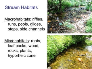 Lateral Bars:  Formed in straight channels