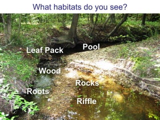 Lateral Bars:  Formed in straight channels