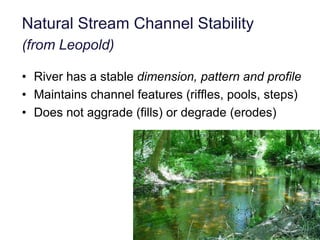 Meandering Stream:  Alluvial FormsFlow DownstreamFloodplainScarpBankfull StagePoint BarPoolLeft BankRight BankRiffleThalweg