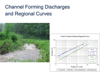 Floodplains: Critical Stream Components