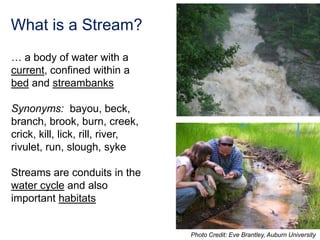 Sedimentation & stormwater