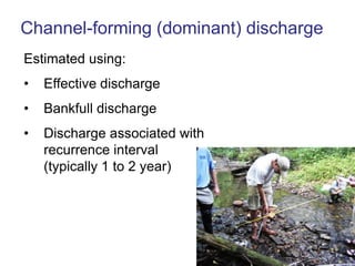 Floodplain FunctionsFloodwater storage