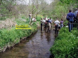 TerraceFloodplainRight BankLeft BankThalwegStreambedDownstream