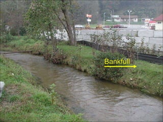 Pool Cross-Section (Meandering Stream)Stream Corridor Restoration: Principles, Processes, and Practices. 1998. Federal Interagency Stream Restoration Working Group.