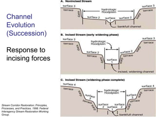 Cross-Section of Channel and Floodplain