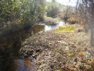 Alluvial River Processeshttp://www.uwsp.edu/gEo/faculty/ritter/geog101/textbook/fluvial_systems/geologic_work_of_streams.html 