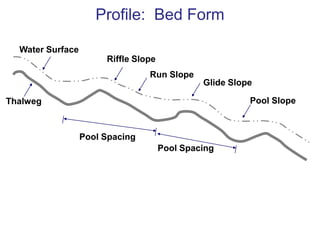 Stream HabitatsMacrohabitats: riffles, runs, pools, glides, steps, side channelsMicrohabitats: roots, leaf packs, wood, rocks, plants, hyporheic zone 