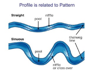What habitats do you see?RootsWoodPoolLeaf PackRiffleRocks