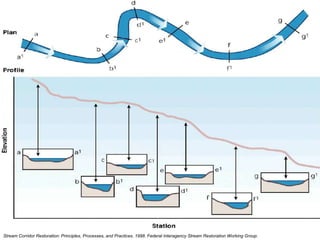 What habitats do you see?