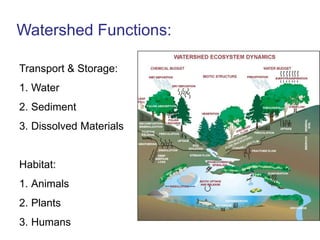 Restoration ComponentsChannel morphology & floodplain connection