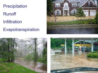 Streambank bioengineering