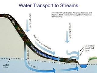 Stormwater/watershed management