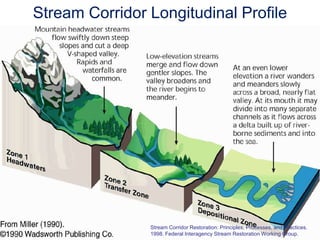 WatershedWhat is a Stream?… a body of water with a current, confined within a bed and streambanksSynonyms:  bayou, beck, branch, brook, burn, creek, crick, kill, lick, rill, river, rivulet, run, slough, sykeStreams are conduits in the water cycle and also important habitatsPhoto Credit: Eve Brantley, Auburn University