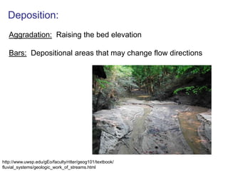 Watershed Functions:Transport & Storage:WaterSedimentDissolved MaterialsHabitat:AnimalsPlantsHumans