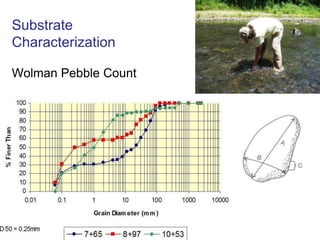 PrecipitationRunoffInfiltrationEvapotranspiration